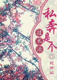 私奔是个技术活有声