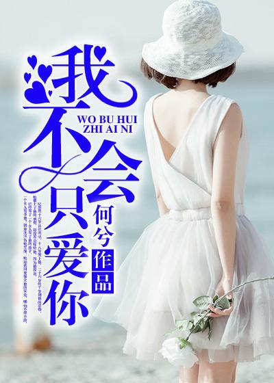 我不会只爱你一个歌词