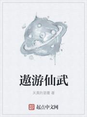 遨游仙武肉版