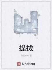 提脓拔毒膏药