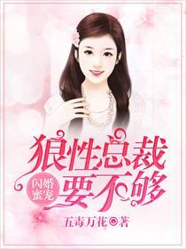 闪婚霸爱狼性总裁太无耻洛七七