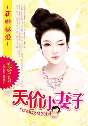 新婚秘爱天价小妻子免费阅读
