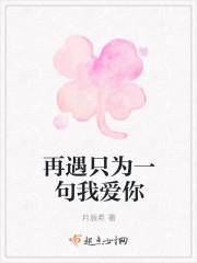 再遇只为一句我爱你歌词