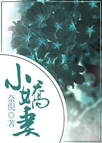 总裁与小娇妻