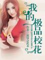 我的极品校花姐姐