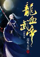 龙血武帝这本书怎么样