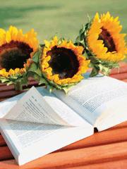 执念下一句是什么意思