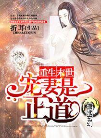 重生末世之宠妻是正道讲的什么