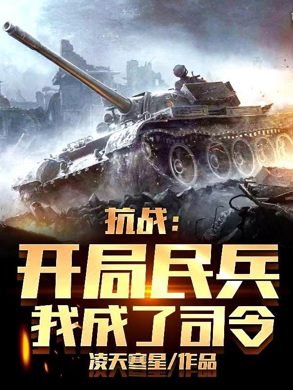 我成了司令/凌天寒