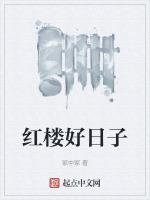 红楼好日子豖中豖