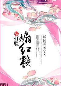 红楼打脸大脸宝