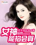 女神能掐会算全文免费