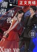 潮湿雪夜免费