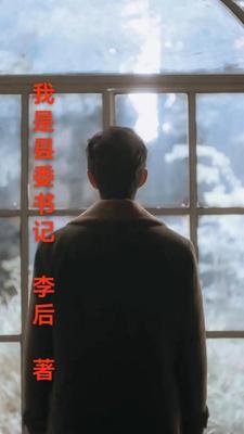 我是县委书记作者李后