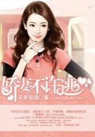 娇妻不许逃 辰梦宿扬