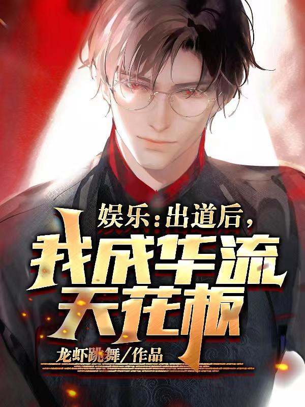 出道后我成了全民女神txt