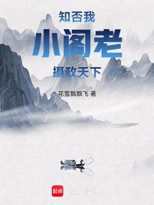 知否我小阁老摄政天下免费阅读