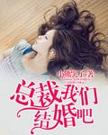 总裁我们结婚吧林晓全文免费阅读