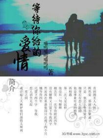 等待你的爱情是什么歌