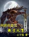 网游传奇之职业玩家字数