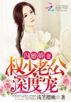 闪婚厚爱权少的心尖宠
