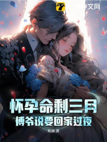 傅爷说要回家过夜txt