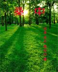 桑中华