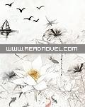 女人村的那些事免费阅读