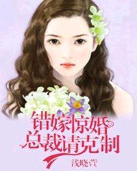 错嫁惊婚总裁请克制全文免费阅读