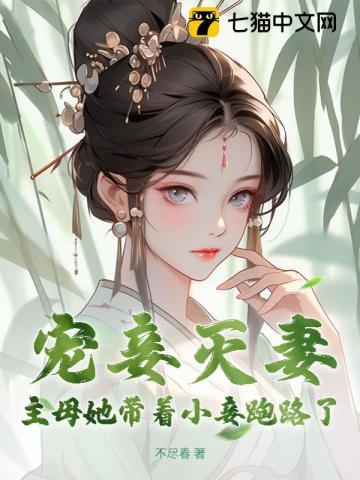 主母和小妾的文