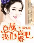 总裁我们离婚吧陆海瑶