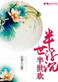半世浮沉半世空的意思