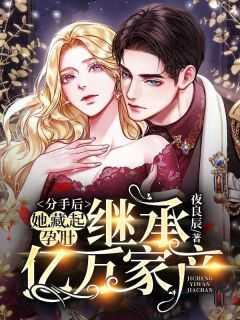 她藏起孕肚继承亿万家产做爱章节