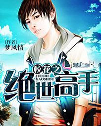 校花的绝世高手TXT