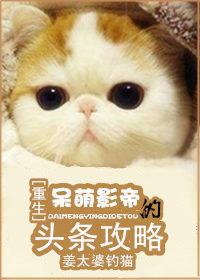 呆萌影帝妙探妻txt