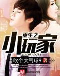重生之小玩家是烂尾了吗