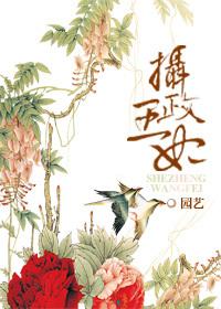 重生之摄政王妃漫画