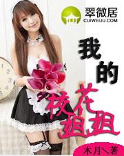 我的校花姐姐木月