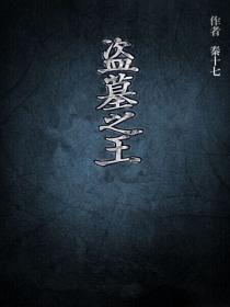 盗墓之王免费高清播放