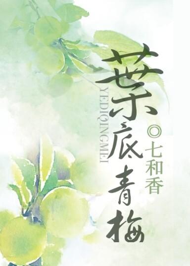 叶底青梅已可尝完整诗句