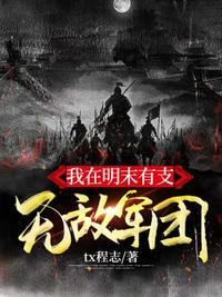 我在明末有支无敌军团TXT奇书网