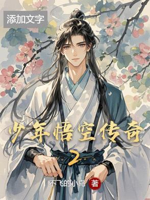 少年悟空传tv版攻略