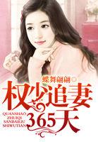 权少追妻三十六计权倾