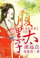 毒妃神医黑腹黑宝