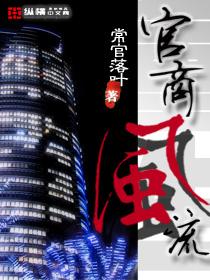 重生官商风流系列