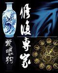 恢复专家
