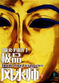 极品风水师 第171章