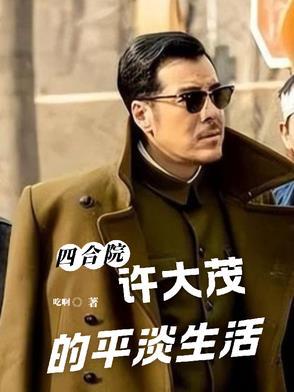 四合院许大茂的平淡生活