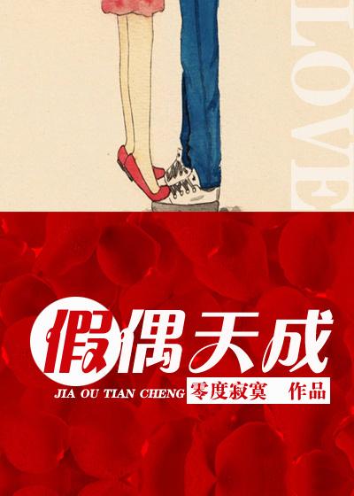 假偶天成有第二季吗