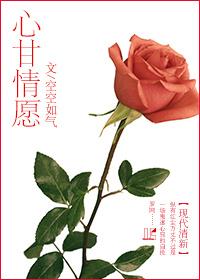 心甘情愿歌曲表达了什么感情